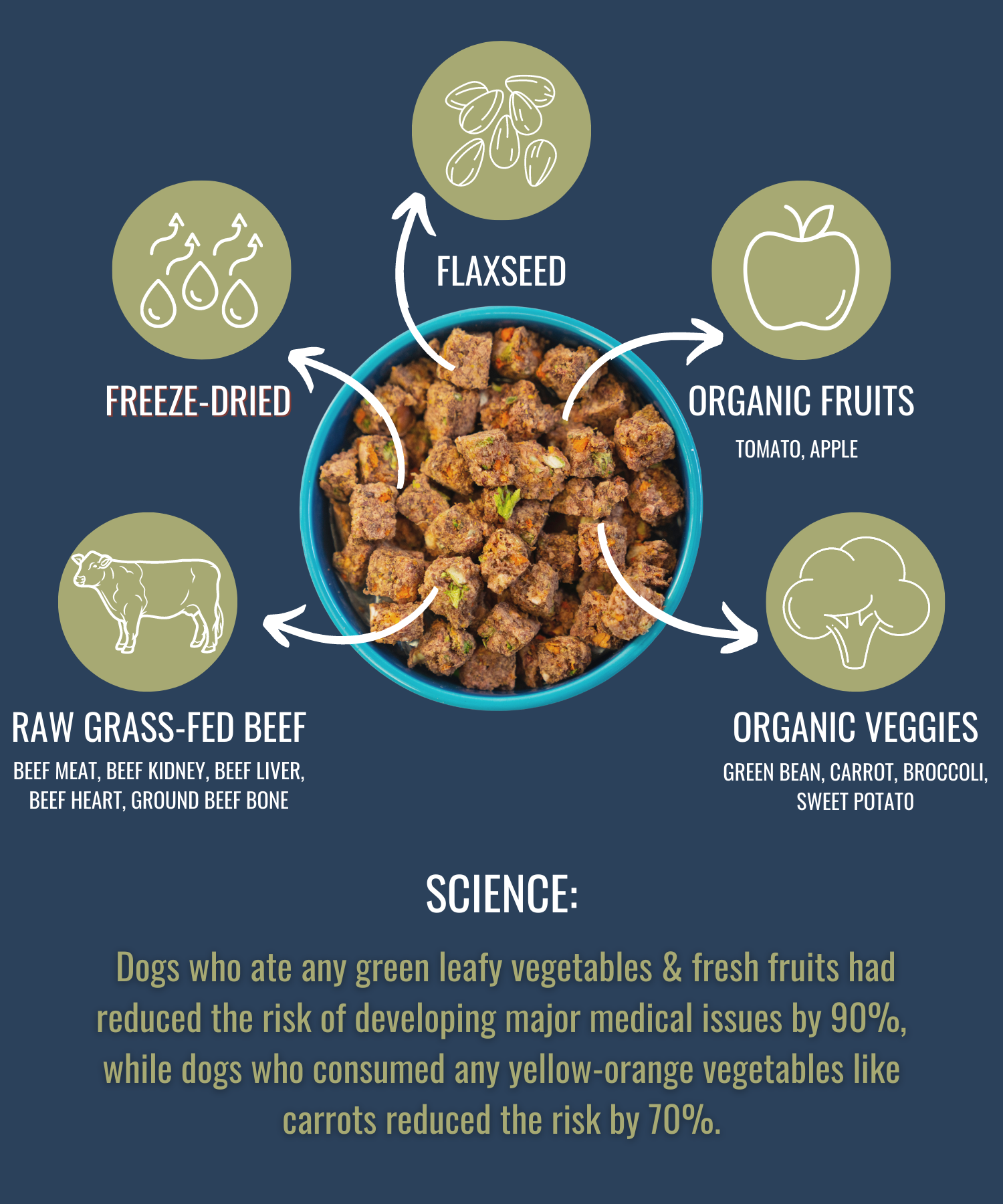 PREMIUM RAW FREEZE DRIED DOG FOOD BEEF