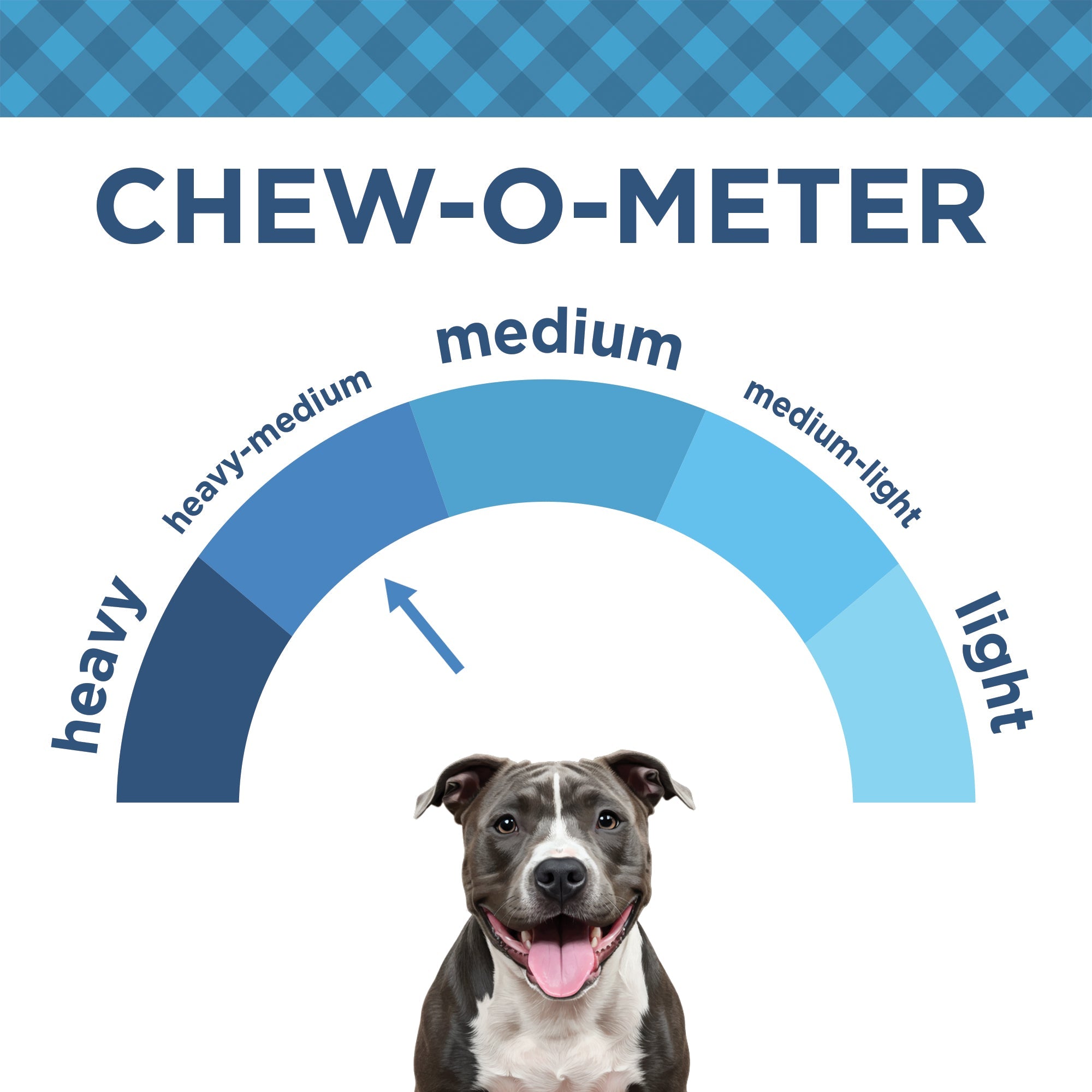 Country Living 4”-7” Beef Backstrap Tendon Dog Chews – 5 Count Bag – All-Natural, Long-Lasting, High-Protein Dog Treats – Single-Ingredient, Grain-Free