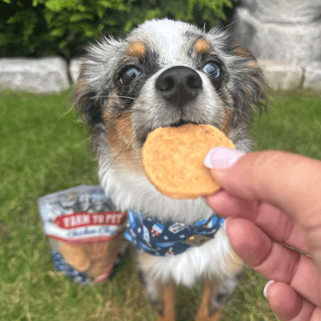 Americana Chicken Chips for Dogs | Celebrate with USA-made Dog Treats