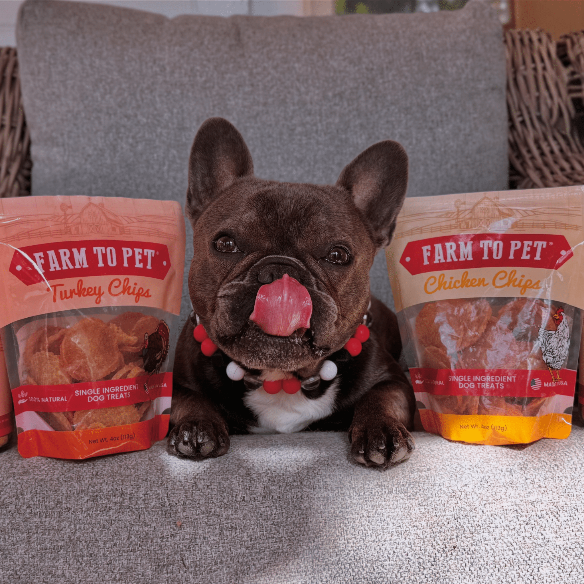 Turkey & Chicken Chip Dog Treat Duo | Single-Ingredient Poultry Treats for Dogs