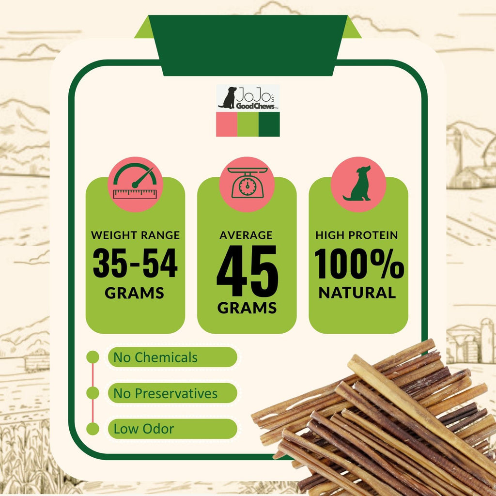 All-Natural Beef Bully Stick Dog Treats – Nutrient-Rich, and High-Protein – 12-Inch Standard (4-Pack)