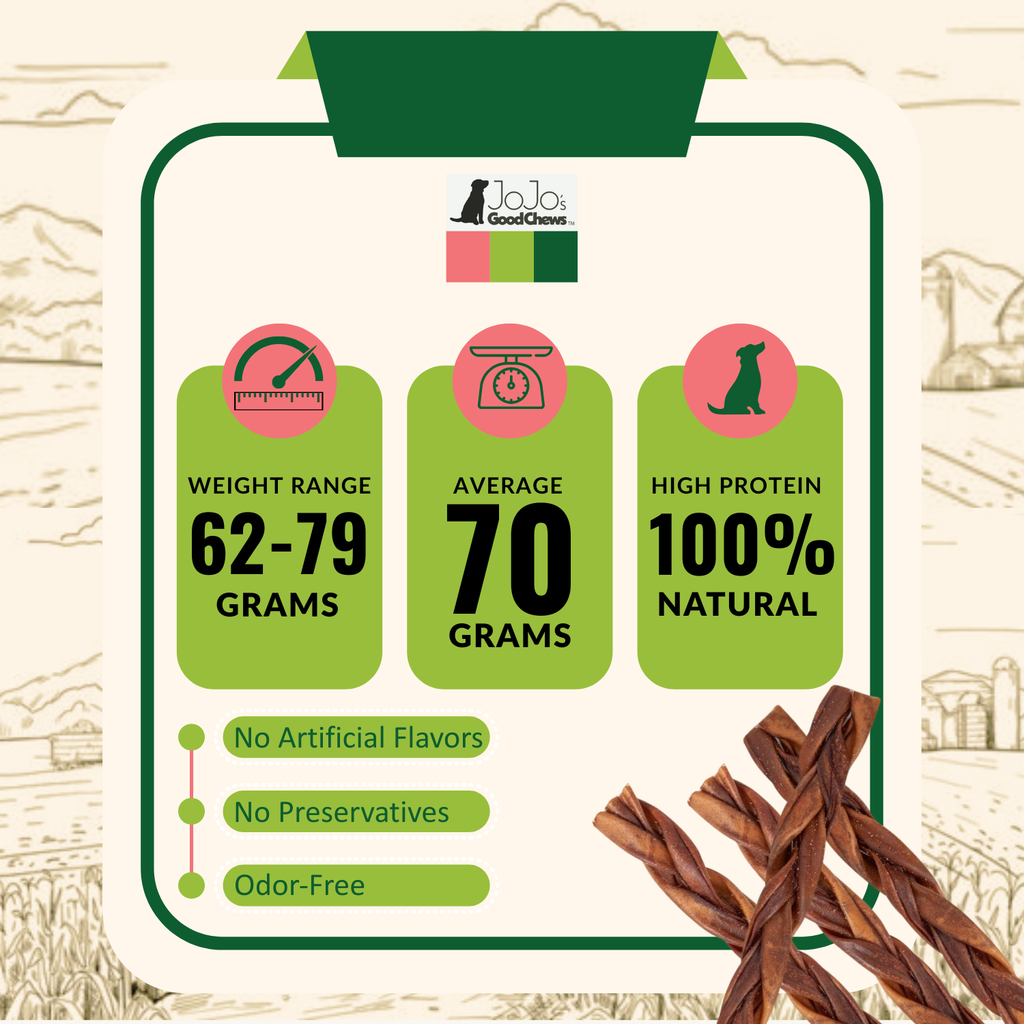 Braided Collagen Stick Dog Treats for Joint Health - 12-Inch Standard (4-Pack)