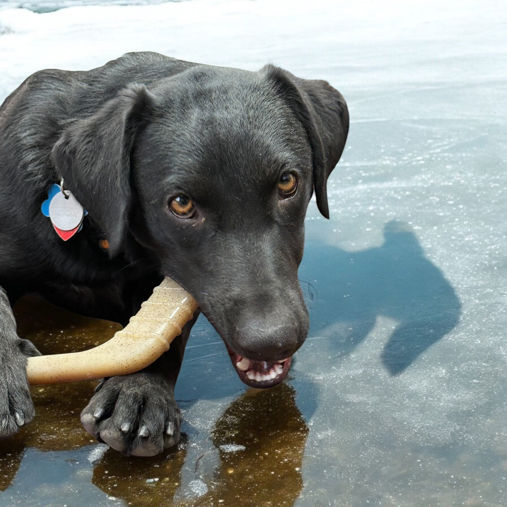 Hockey Stick Nylon Dog Chew Toy - Ultra-Durable for Aggressive Chewers USA