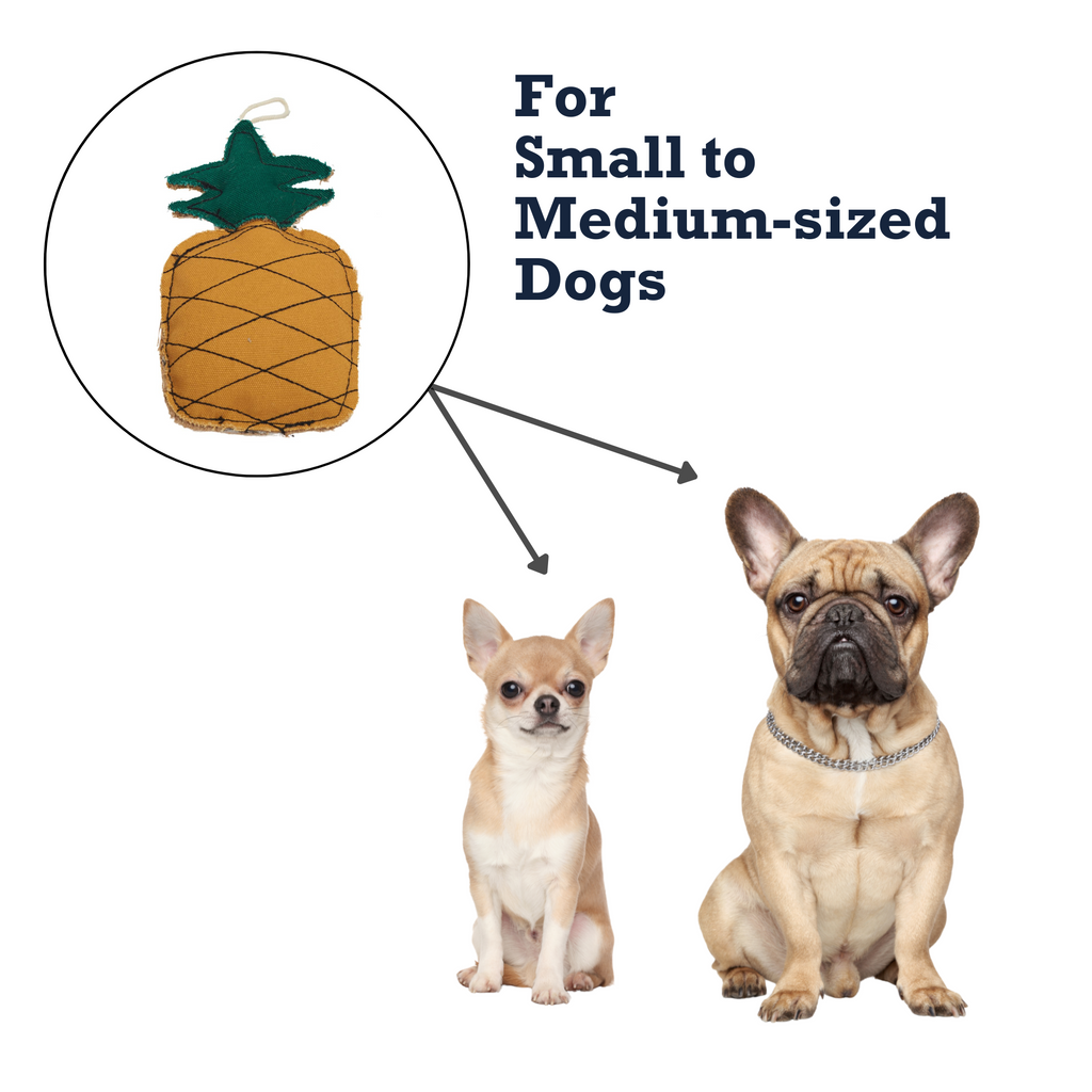 Country Living Canvas & Jute Pineapple-Shaped Dog Chew Toy – Durable, Safe and Non-Toxic
