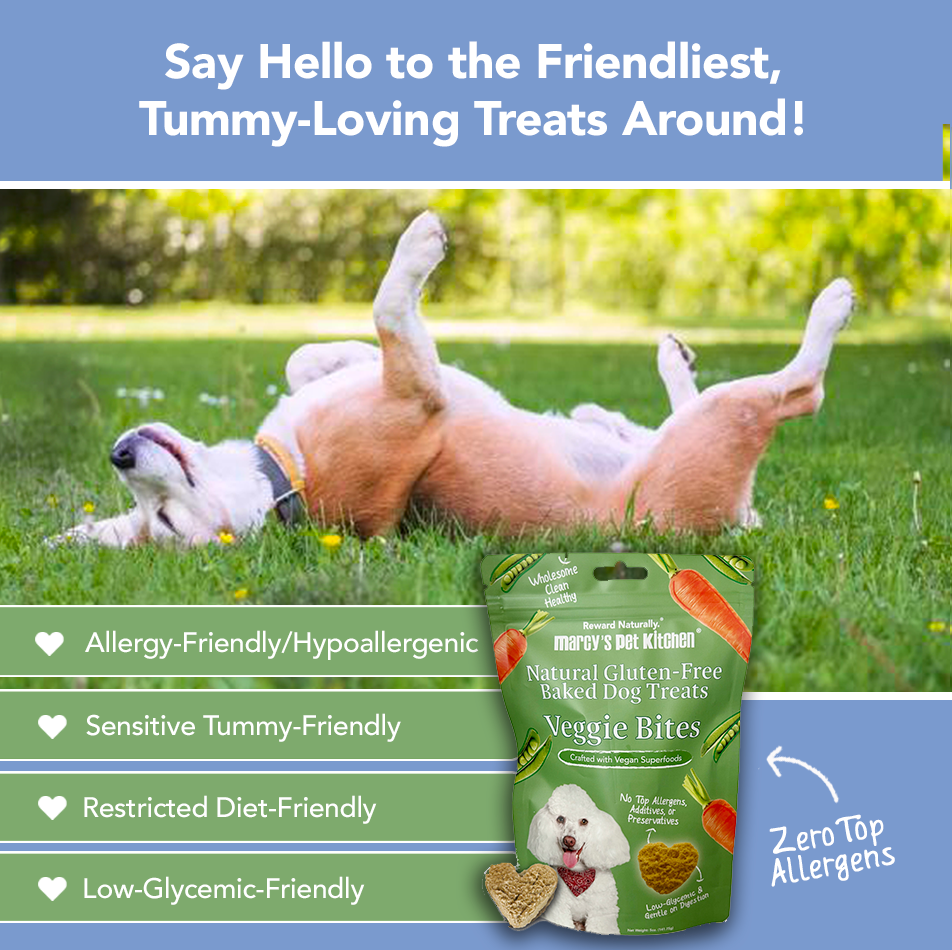 Marcy's Pet Kitchen-Vet Recommend- All Natural-Vegan Homemade,-Gluten Free-Chicken Free-for Sensitive Stomachs-Made in The USA Only