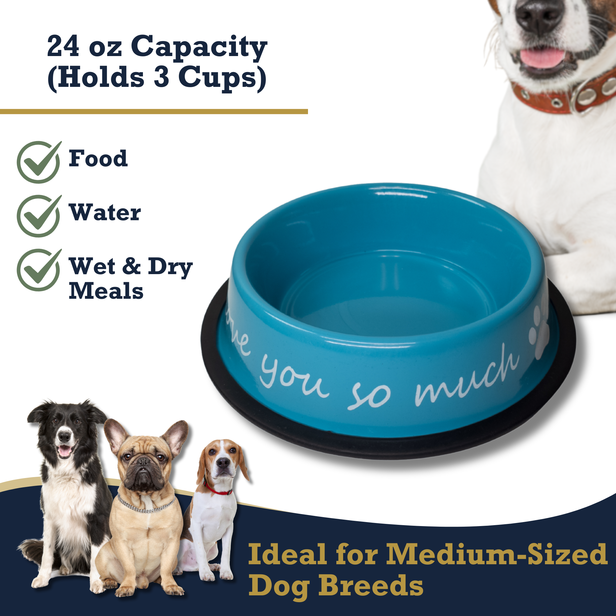 I LOVE YOU SO MUCH Modern Stainless Steel Dog Bowl – 24oz