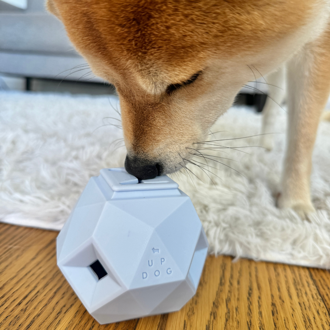 The Odin Treat Dispensing Toy For Dogs